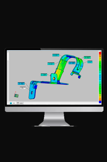 team member portrait