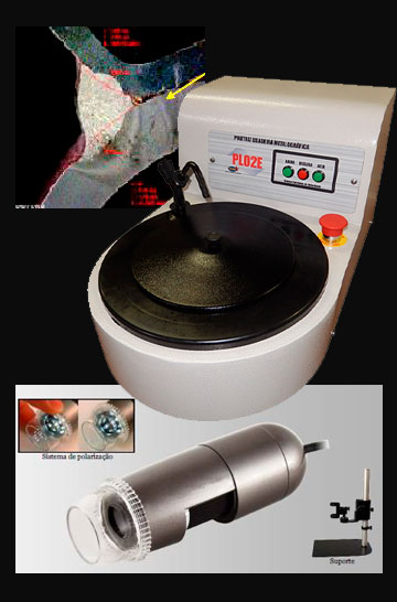 team member portrait